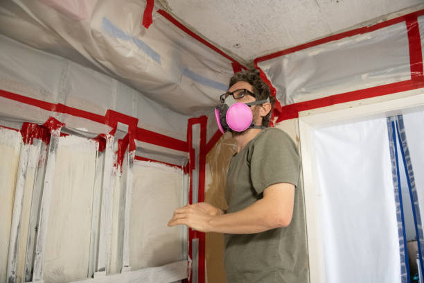 Mold Remediation for Rental Properties in Mentor, OH